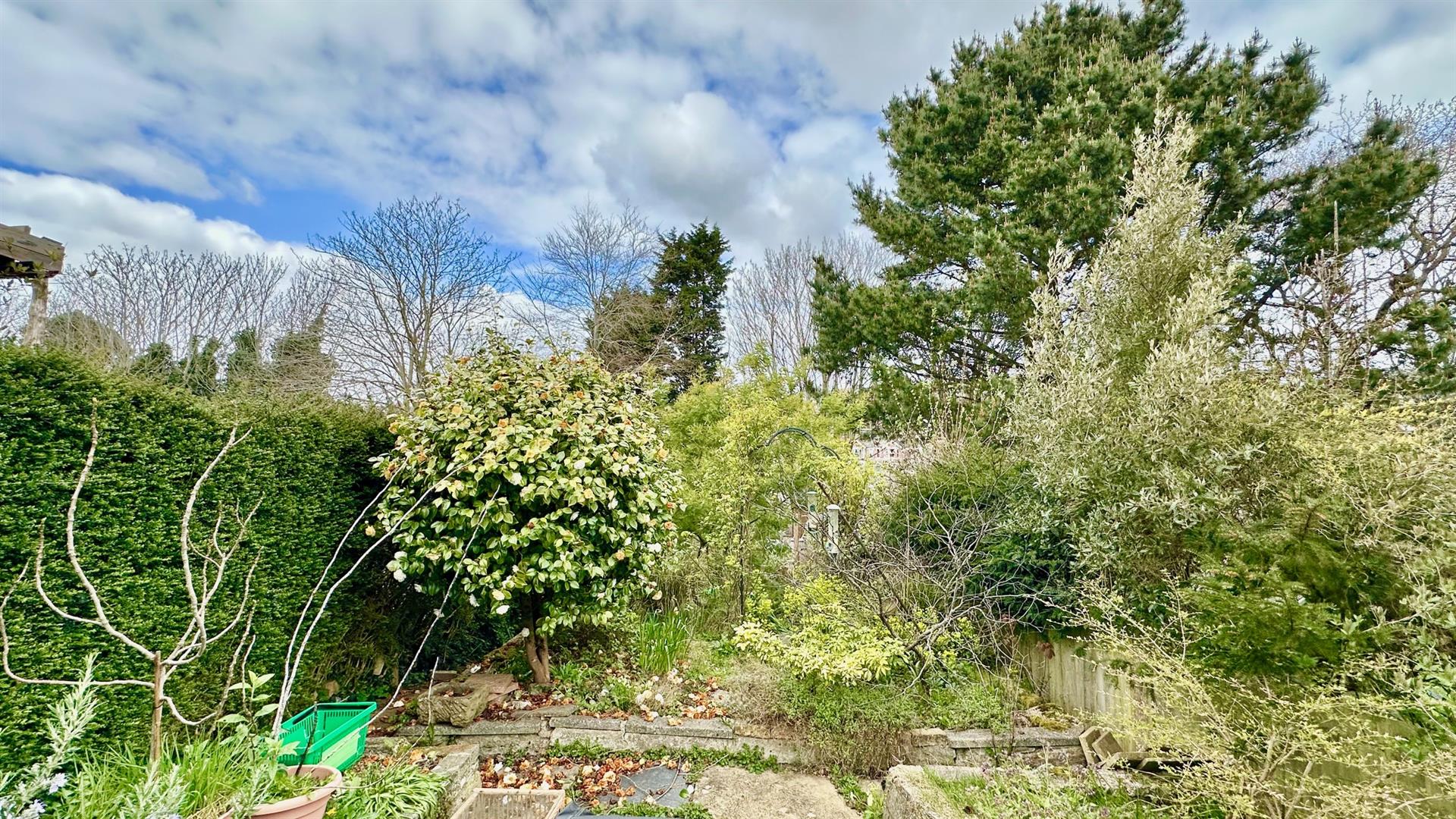 Belmont Road, Hastings